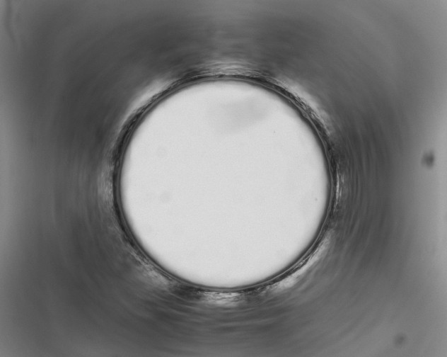 X0000116841309201001151239