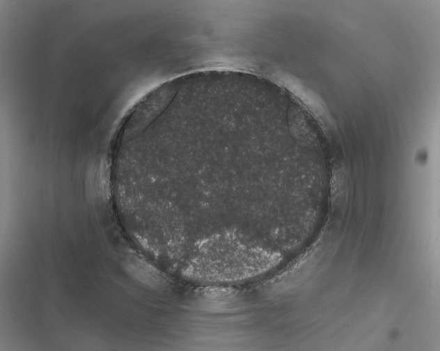 X0000116841310201001151239