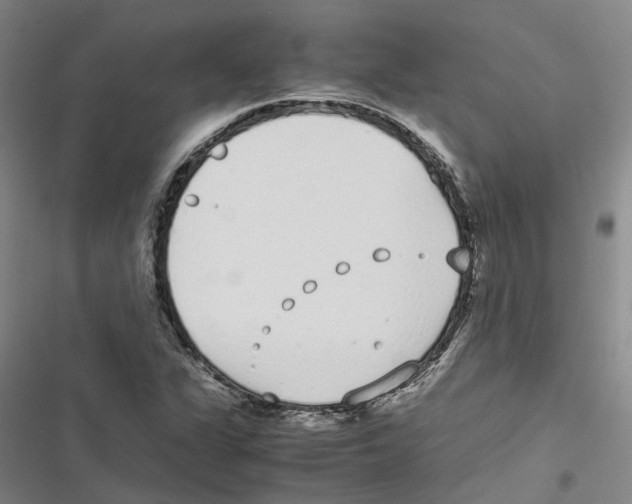 X0000116841311201001151239