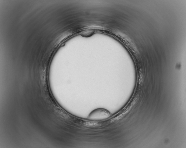 X0000116841313201001151239