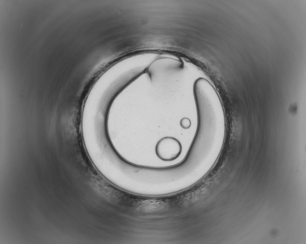 X0000116841314201001151239