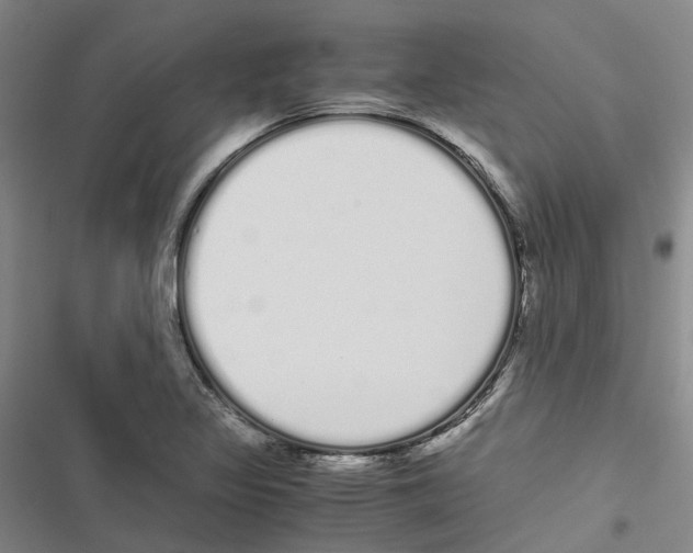 X0000116841317201001151239