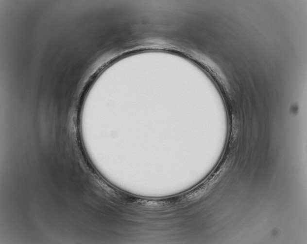 X0000116841318201001151239