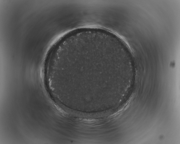 X0000116841319201001151239