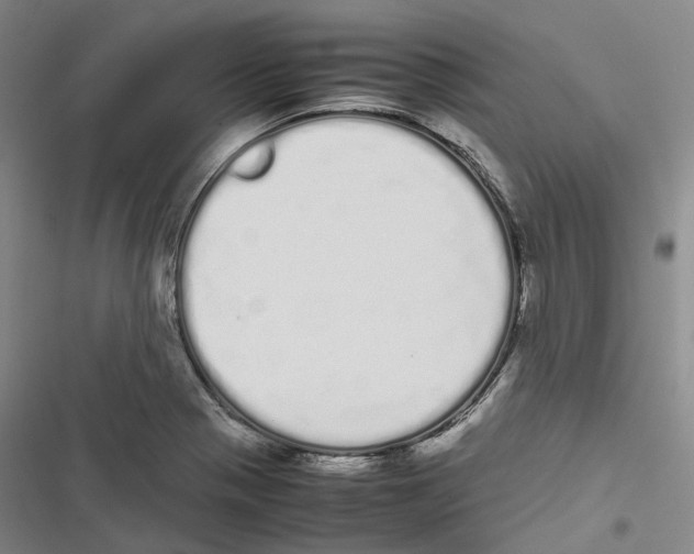 X0000116841321201001151239