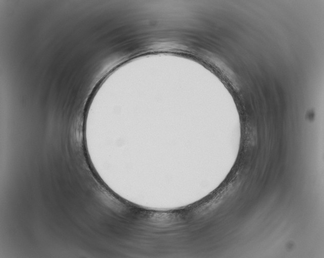 X0000116841322201001151239