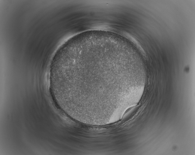 X0000116841323201001151239