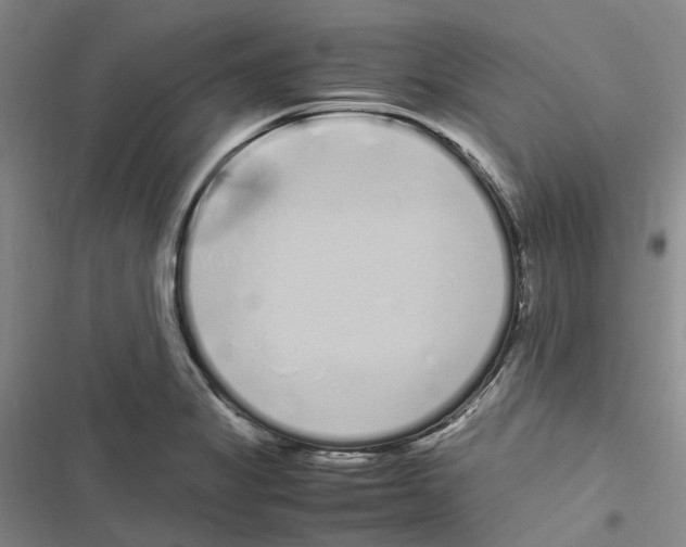 X0000116841325201001151239