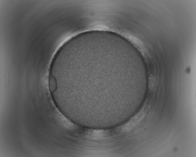 X0000116841326201001151239