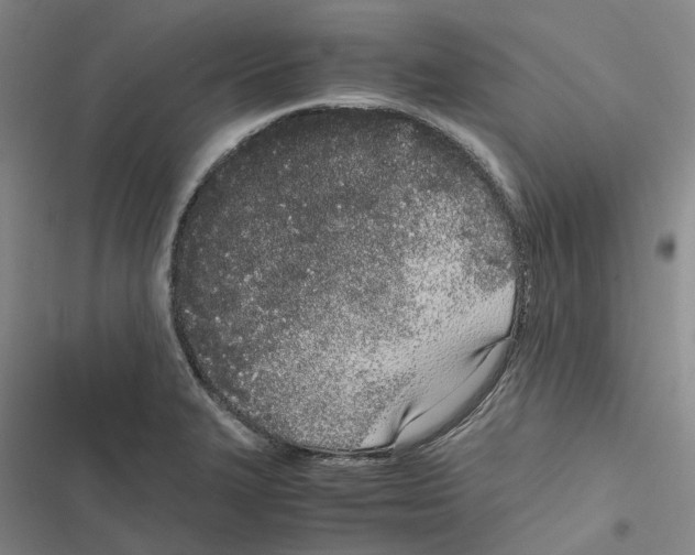 X0000116841327201001151239