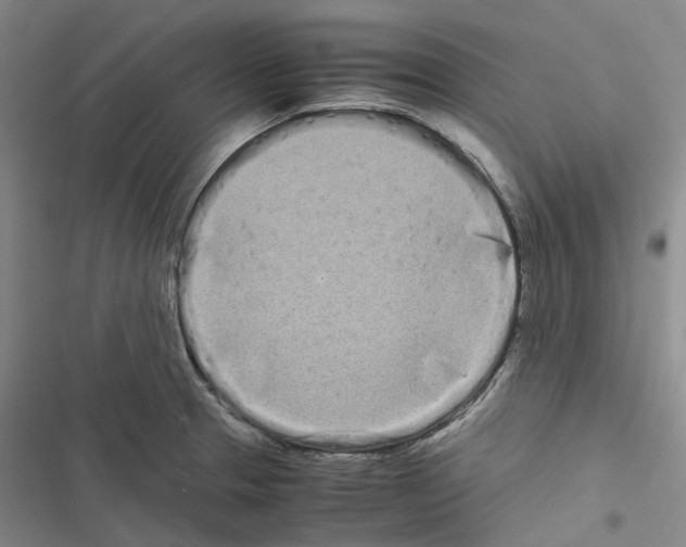 X0000116841329201001151239