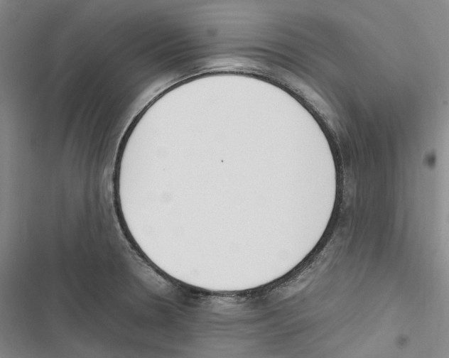 X0000116841330201001151239