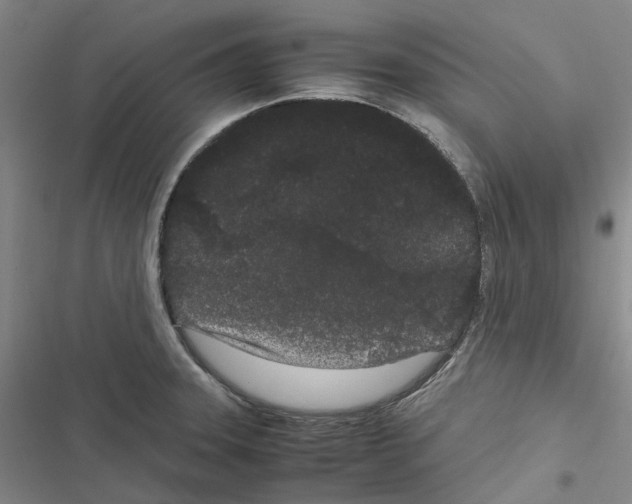 X0000116841331201001151239