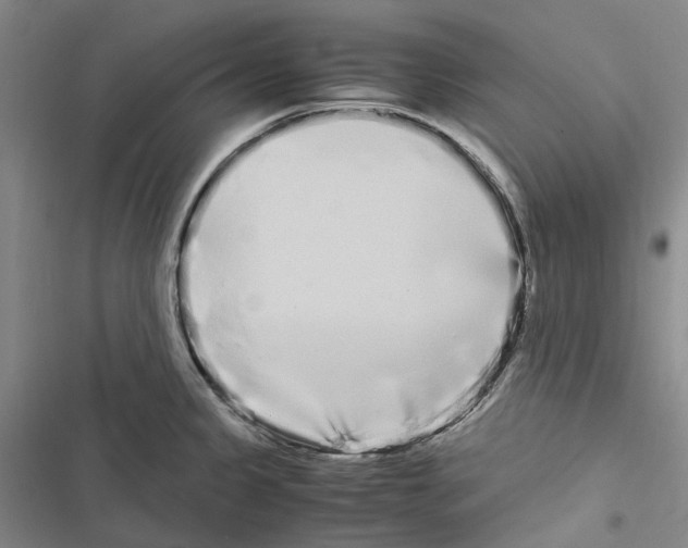 X0000116841333201001151239