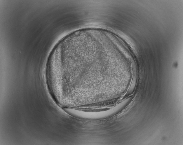 X0000116841334201001151239