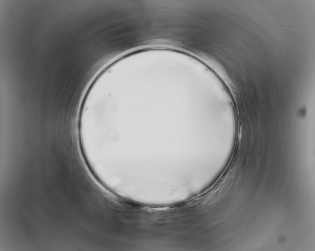 X0000116841335201001151239