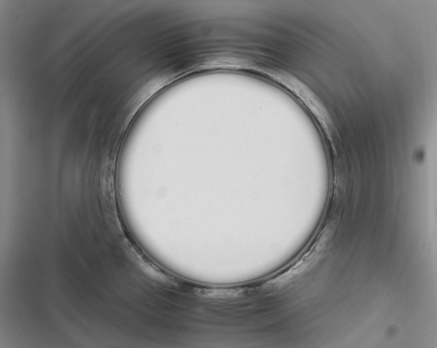 X0000116841337201001151239