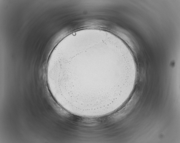 X0000116841338201001151239