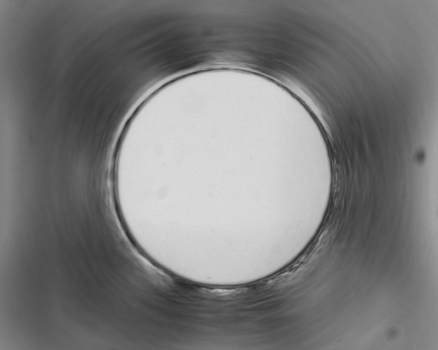 X0000116841339201001151239