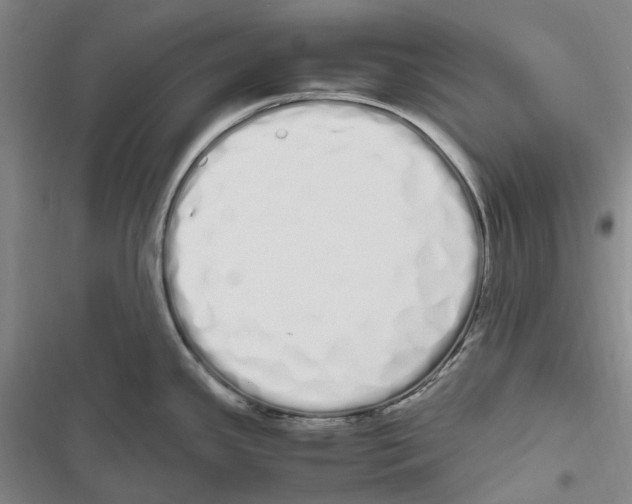 X0000116841341201001151239