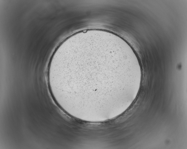 X0000116841342201001151239