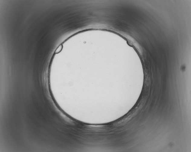 X0000116841343201001151239