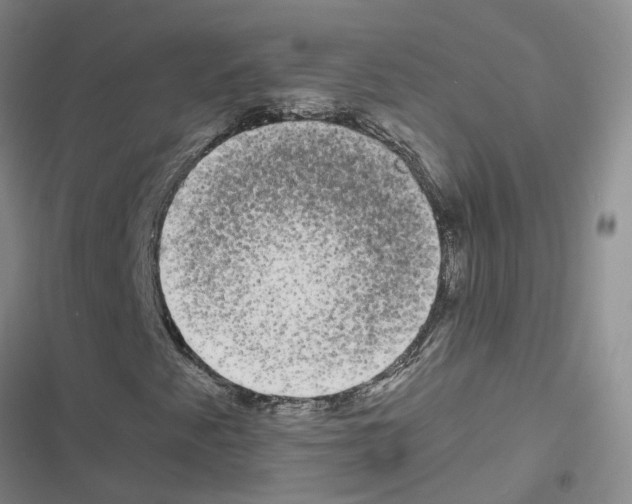 X0000116841345201001151238