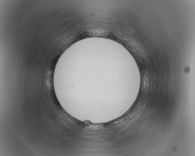 X0000116841346201001151238