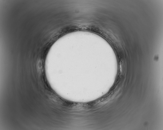 X0000116841347201001151238