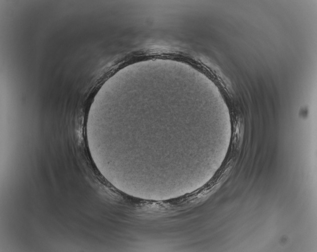 X0000116841348201001151238