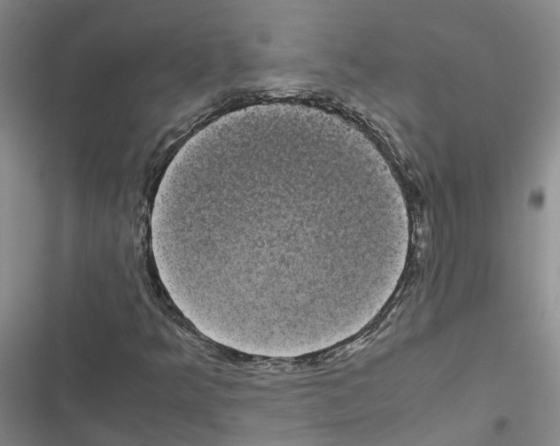 X0000116841349201001151238