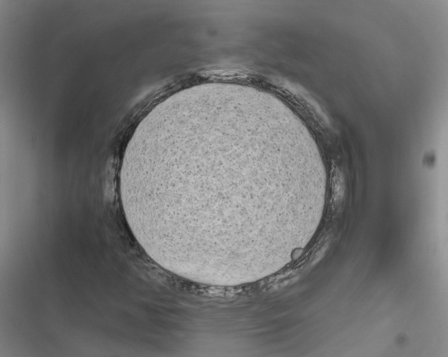 X0000116841350201001151238