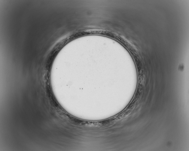 X0000116841351201001151238