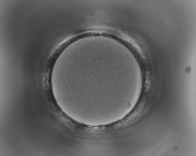 X0000116841352201001151238