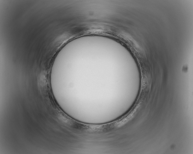 X0000116841353201001151238