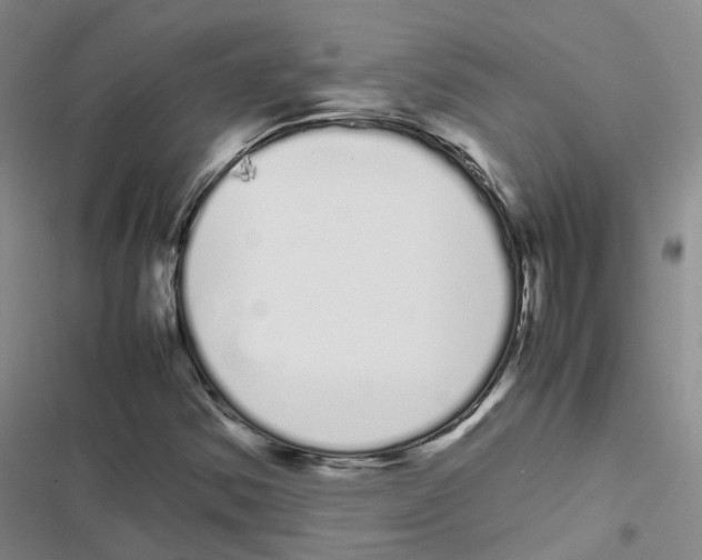 X0000116841354201001151238