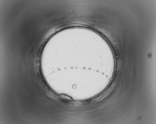 X0000116841355201001151238