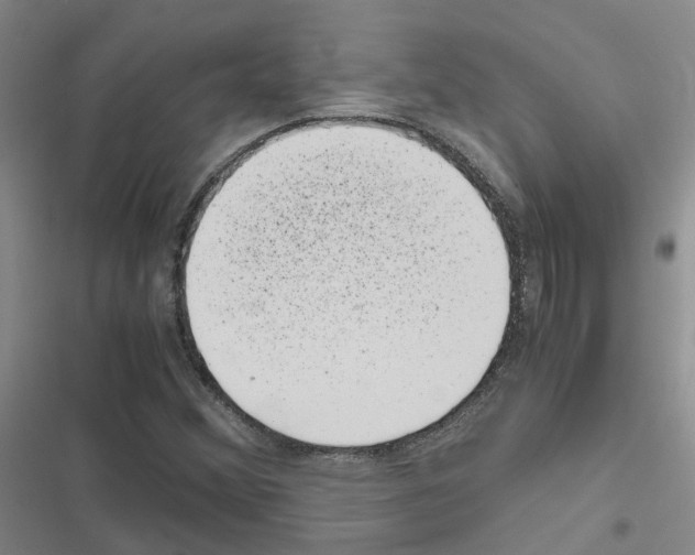 X0000116841356201001151238