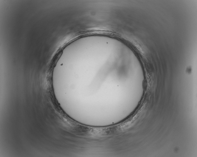 X0000116841357201001151238