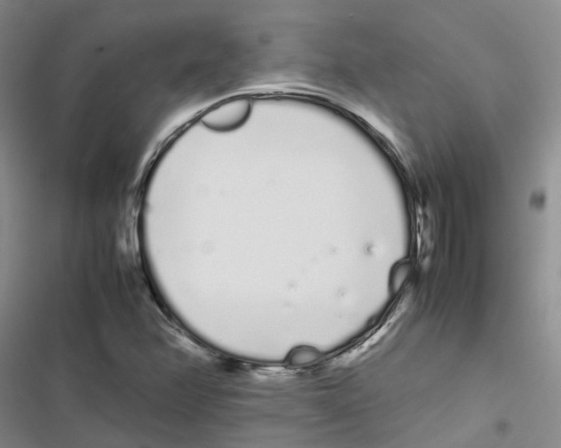 X0000116841358201001151238