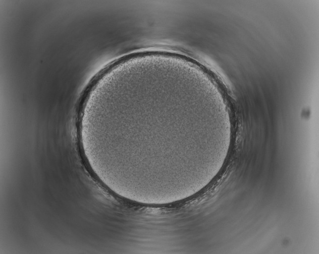 X0000116841360201001151238