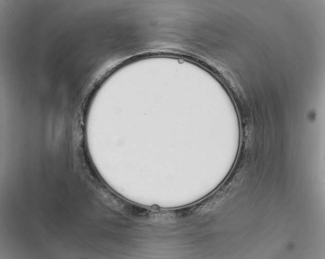 X0000116841363201001151238