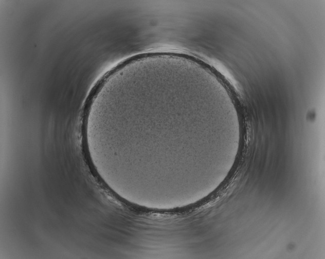 X0000116841364201001151238