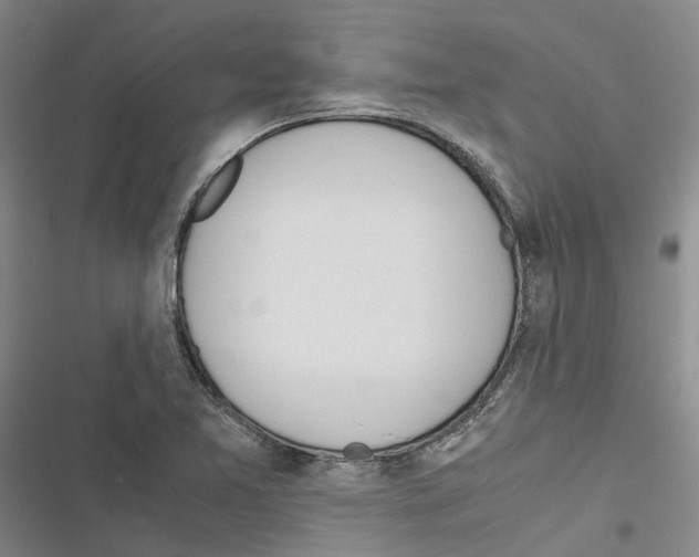 X0000116841365201001151238