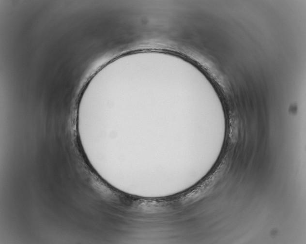 X0000116841366201001151238