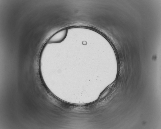 X0000116841367201001151238