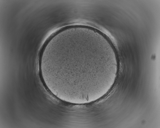 X0000116841368201001151238