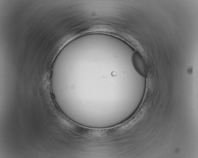 X0000116841369201001151238