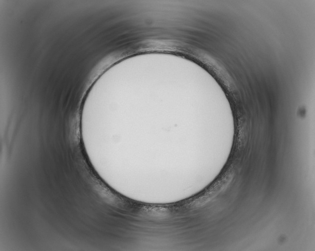 X0000116841370201001151238