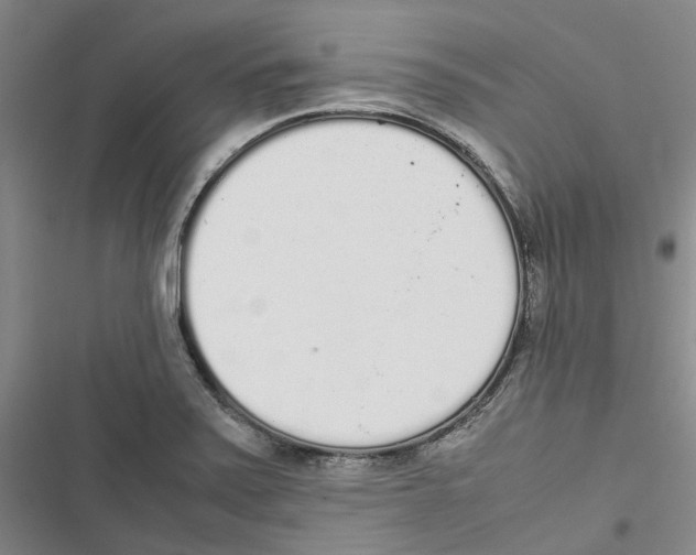 X0000116841371201001151238